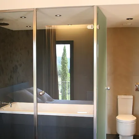 Отель Mas Oliveres Pla De Palau 3*