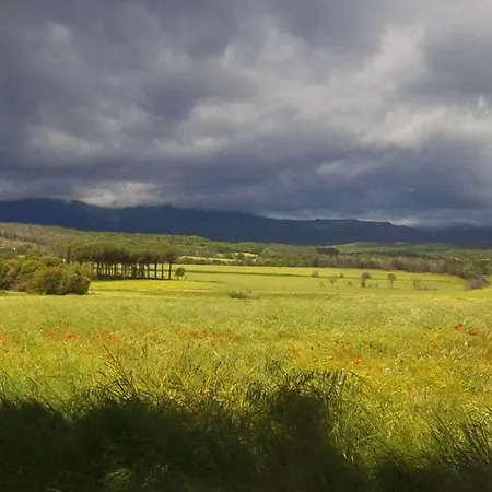 Отель Mas Oliveres Pla De Palau Llers