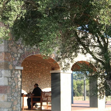 Hotel Mas Oliveres Pla De Palau 3*