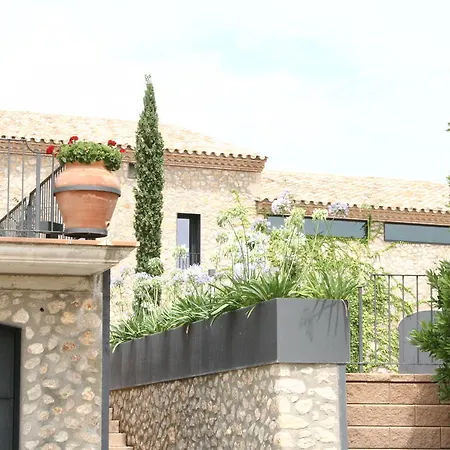 Hotel Mas Oliveres Pla De Palau 3*